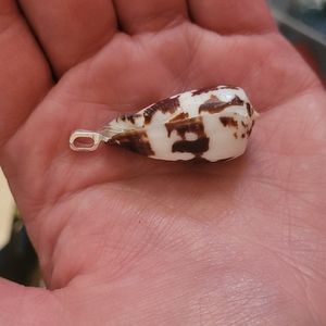 Beautiful Sea Shell pendant